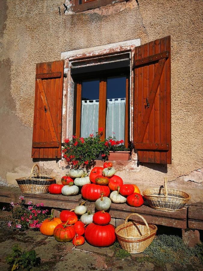 Bed and breakfast La Maison Du Vannier Raon-les-Leau